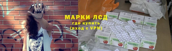 ГАЛЛЮЦИНОГЕННЫЕ ГРИБЫ Магас
