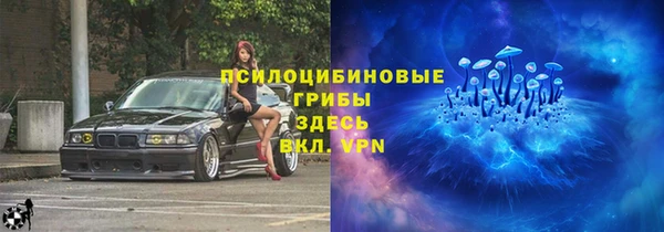 спайс Медвежьегорск